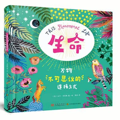 如何制定智能篮球训练计划_0